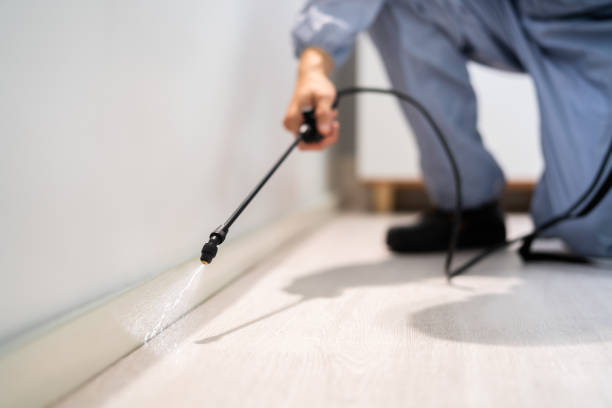 Licensed Pest Control service in Missouri, MO - Show Me Pest Control