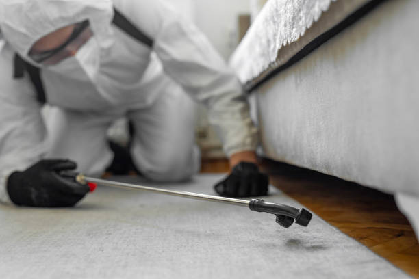 Professional Pest Control technician working in Missouri, MO