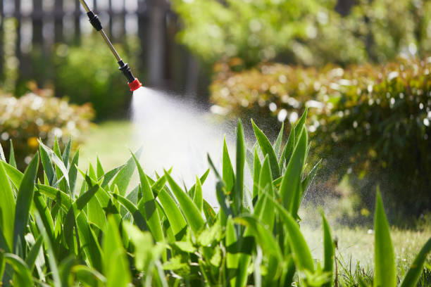 24/7 Emergency Pest Control experts in Missouri, MO